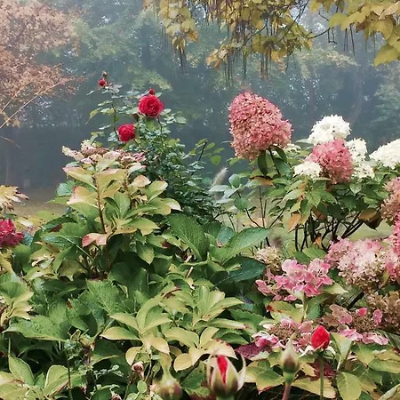 Apartmán Spreewaldgarten